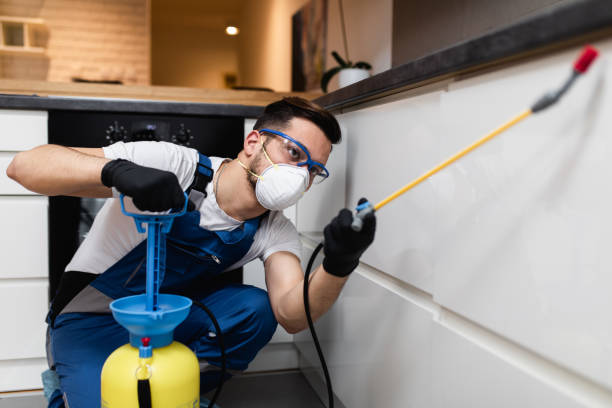 Best Mosquito Control Services  in Memphis, TN