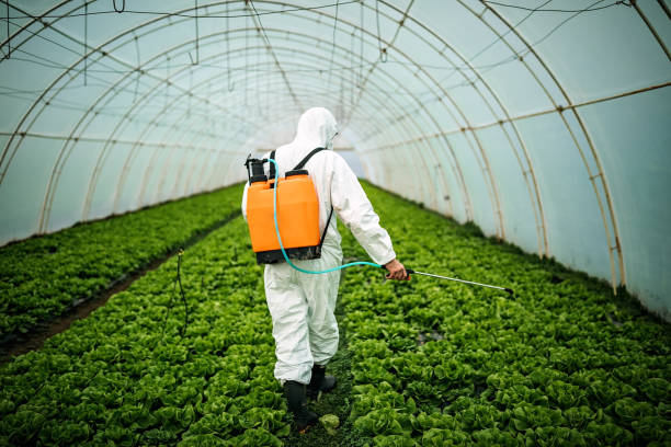 Best Local Pest Control Services  in Memphis, TN