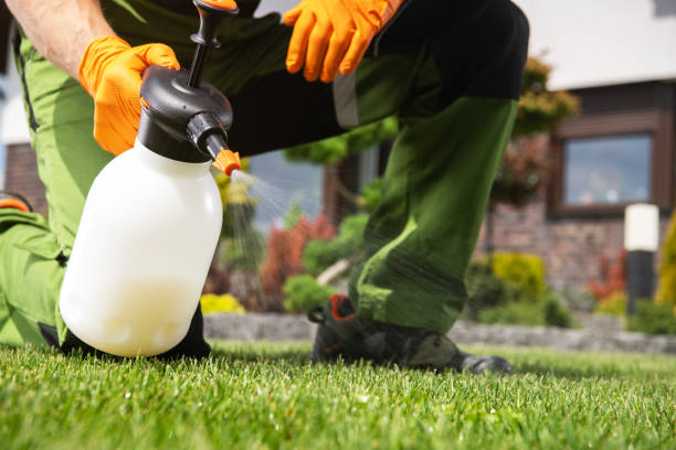 Best Rat Extermination Near Me  in Memphis, TN