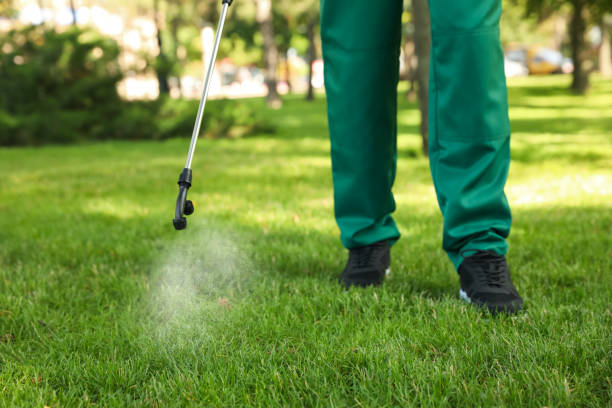 Professional Pest Control in Memphis, TN