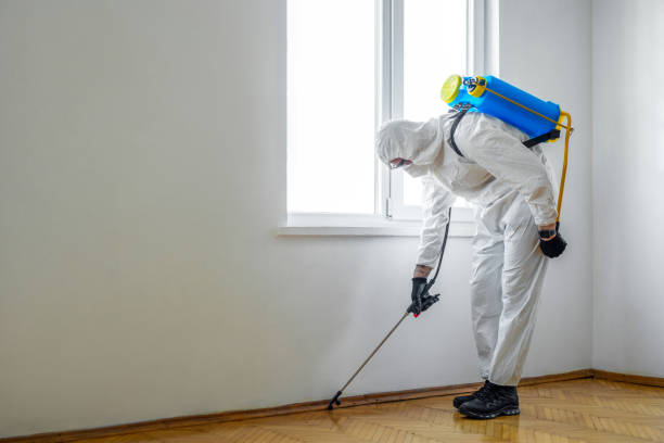 Best Pest Control Near Me in Memphis, TN