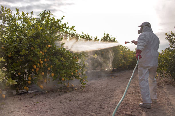 Best Best Pest Control Companies  in Memphis, TN