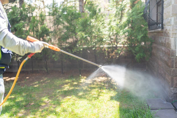 Best Spider Control Near Me  in Memphis, TN