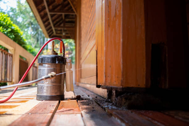 Best Mosquito Control Services  in Memphis, TN